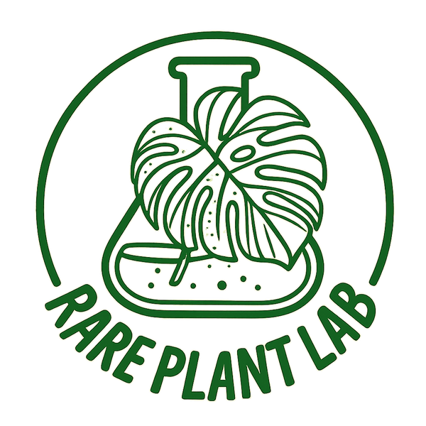 RARE PLANT LAB（レアプラントラボ）